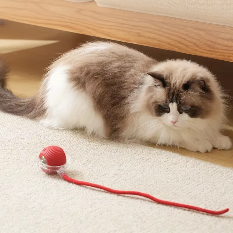 360° Self-Rolling Cat Toy Ball — Automatic Interactive Toy for Indoor Cats